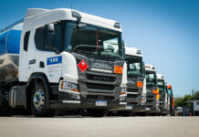 Grupo Beraldi sumó 100 nuevos Scania Super para potenciar sus operaciones